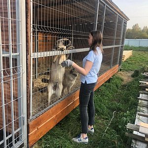 Не книгой единой живет Книжный дом!