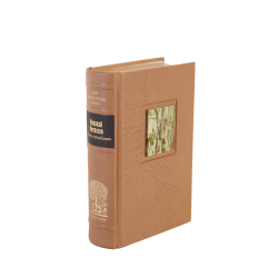 Николай Некрасов «Поэт и гражданин»