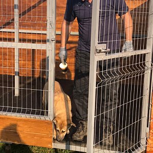 Не книгой единой живет Книжный дом!